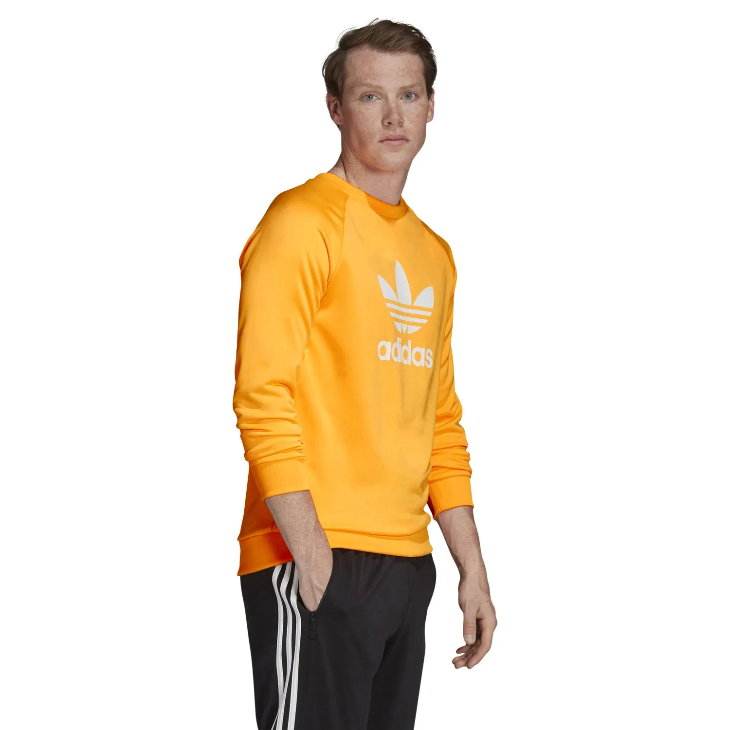 adidas Originals Men's Trefoil Sweatshirt EJ9679